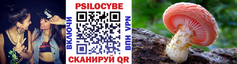 Купить закладки  Данков  Псилоцибиновые грибы Psilocybe 